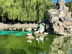 -团结湖公园