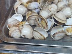-赵老蒯土窑坑烤