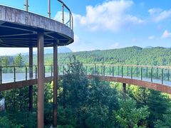 -山王坪喀斯特国家生态公园