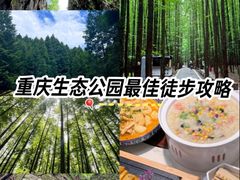 -山王坪喀斯特国家生态公园