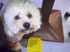 -My Way Town买味堂·东南亚餐厅(亦庄店)