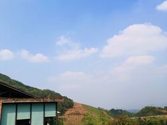 -远山有窑