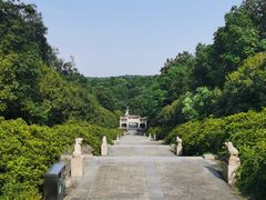 -宜兴龙背山森林公园