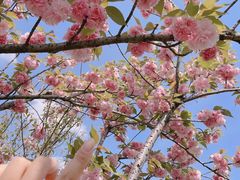 -上海月湖雕塑公园