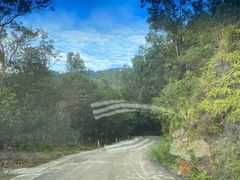 -海南热带雨林国家公园吊罗山景区