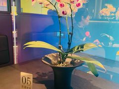 -茶人村·前滩江景雅宴(上海首店)