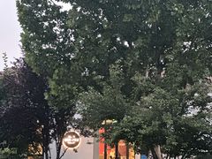 -静之湖度假区