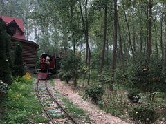 -合肥滨湖国家森林公园