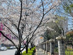 -永乐路-路侧停车场