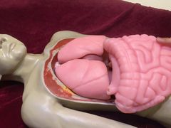 -陕西自然博物馆