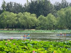 -WhaleSports户外水上运动俱乐部(朝阳公园店)