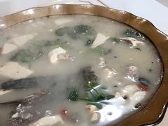 -煲来饱去冷水鱼