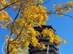 -西海子公园