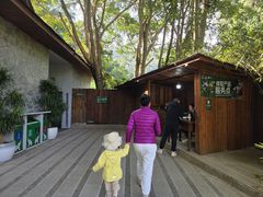 -野象谷景区
