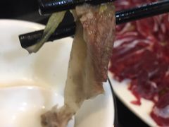 牛筋-鑫佳泰潮汕餐厅(莲塘店)