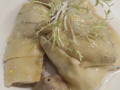 花雕醉鸽-龙悦湾酒家·八阵鱼生·渔人码头店