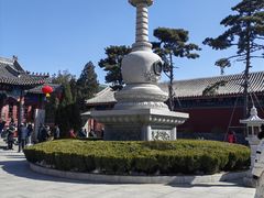 -天津大悲禅院