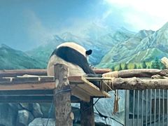 -武汉动物园