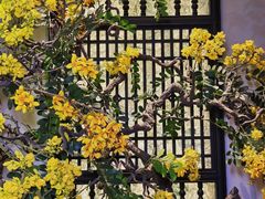 -金链花·泰国餐厅(国贸店)