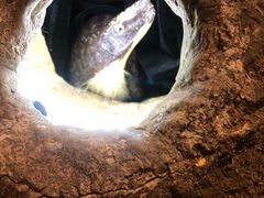 -中国杭州低碳科技馆