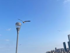 -东港音乐喷泉广场