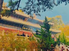 -潭柘寺景区