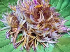 -荷风细雨·中国茶宴(碧云店)