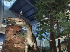 -湖南省地质博物馆