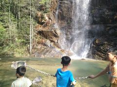 -九龙江国家森林公园