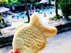 -100蛋泥浆浴