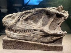 -自贡恐龙博物馆