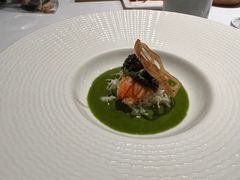-蝶舍·MAISON PAPILLON