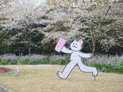-顾村公园