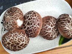 -重庆乌鱼庄·龙滋鲜(青羊大道店)