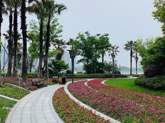 -金沙湖公园