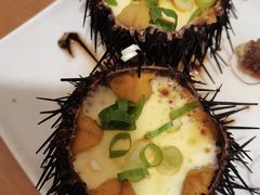 -海胆小馆(东北水饺·春柳店)