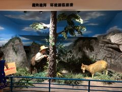 -陕西自然博物馆