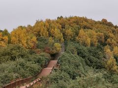 -云顶山风景区