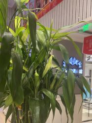 -爱儿美儿童摄影(五路居花园别墅店)
