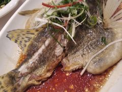-粤味馆(黄河路店)