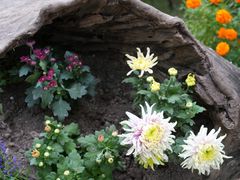 -共青国家森林公园-售票处