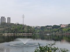 -重庆彩云湖湿地公园