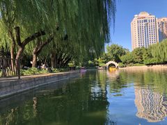 -团结湖公园