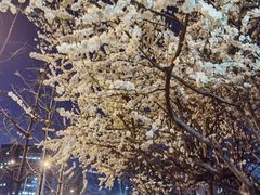 -滇釜火锅·能喝汤的火锅(车公庄店)