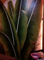 -蕾蕾美颜美容美体