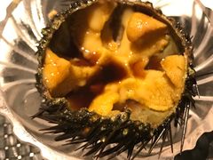 海胆-半岛翡丽海鲜自助餐厅(观风亭店)