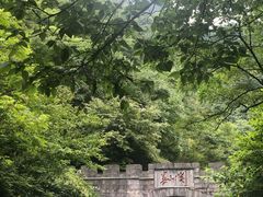 -娄山关景区