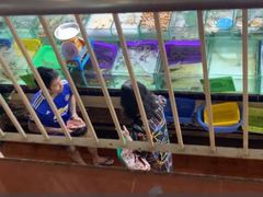 -班赞海鲜市场