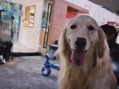 -老字号蛇口德记烧腊饭店·海鲜加工