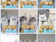 -lincat·猫舍(广州店)